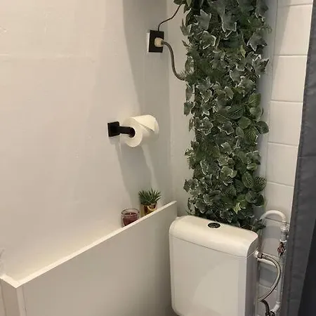 Private In Appartamento Anversa
